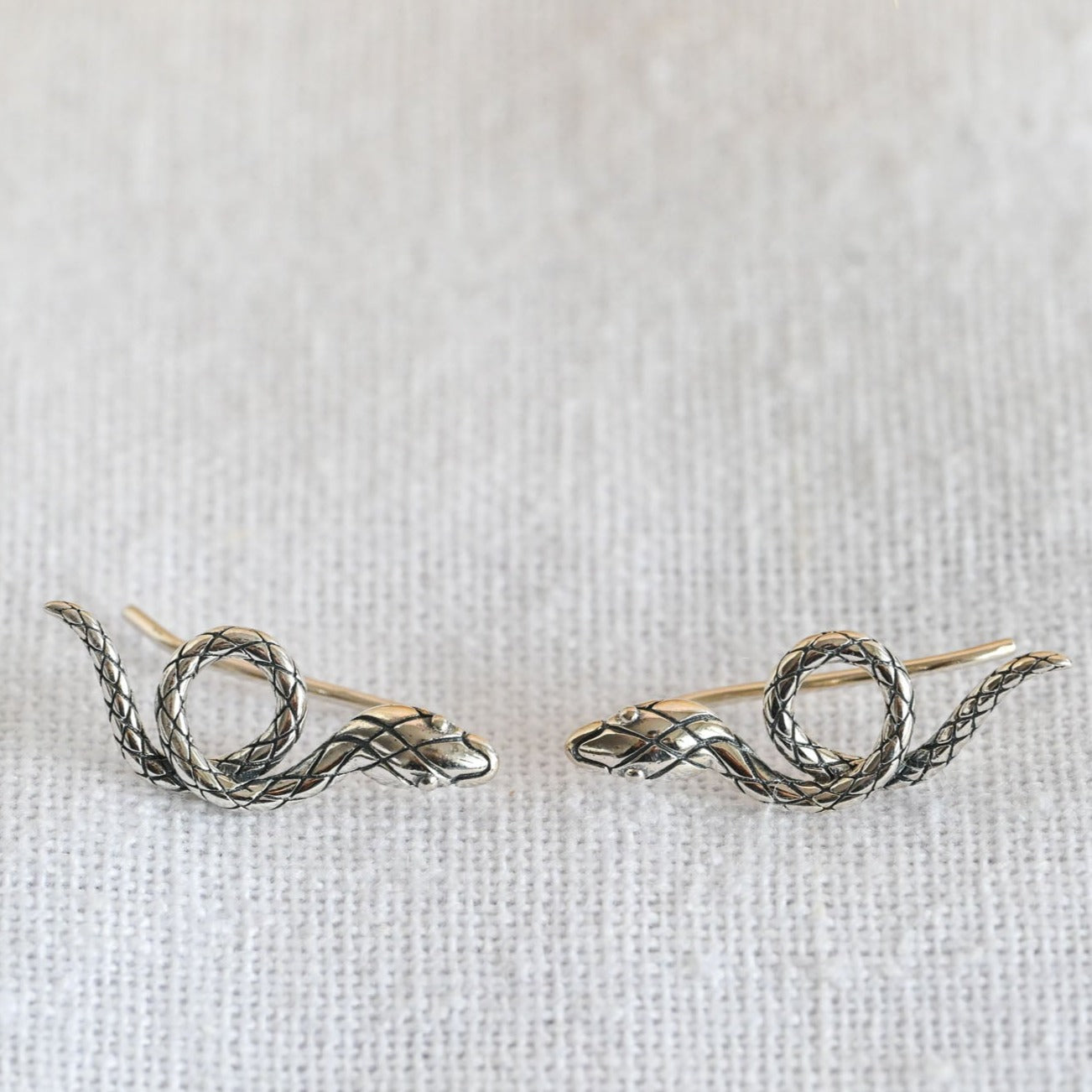 Silver threader snake