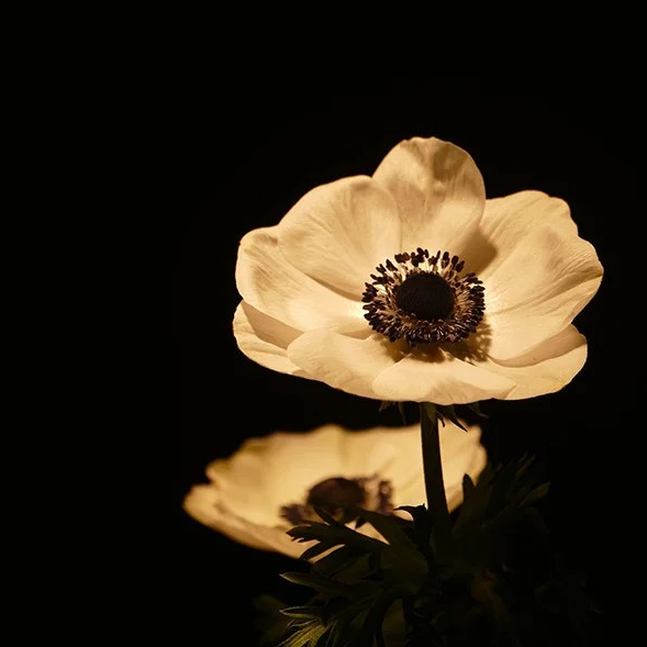 Handmade earrings "Blooming Anemone" with garnet, 925 silver, 18K gold