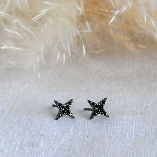 Black Star Stud Earrings, 925 Sterling Silver, Zircon